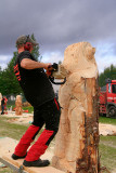 Carve Carrbridge 2011