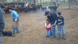 cowboy_stuff