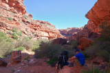 IMG_7104.jpg