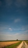 Pano vertical