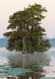 Lake Martin