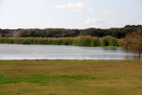 Fourth Street Pond<br>Lamar, Texas