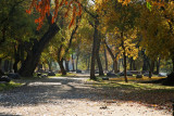 Rivernook Campground.