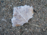 PC030029.JPG