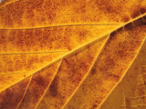 PC030108.JPG