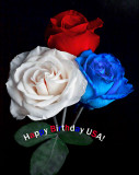 Happy B-day USA!