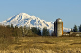 Winter In Whatcom County