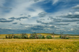 Cloudy Skies In Wheat Land