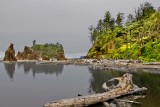 Afternoon Mist At Ruby Beach