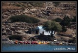 cret2012mochlos038.jpg