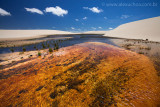 Lencois Maranhenses, Maranhao, 8953.jpg