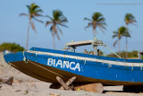 Praia do Prea, Cruz, Ceara, 5919.jpg