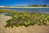 Praia da Pedra Rachada, Paracuru, Ceara, 9720.jpg