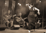 Jazz / Live - Concerts