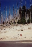 Mt. St. Helens