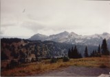 Mt. Rainier National Park