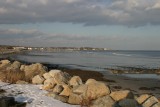 IMG_5230.jpg