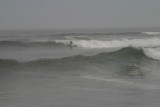 IMG_2142.jpg