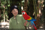 Scarlet Macaw Fluffy is not shy to have a face to face time with me