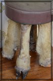Another stool made of deer like animal feet