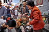 Shanghai - Selling chickens; popular market