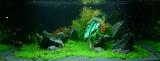 360 Liter
