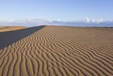 Coro Desert