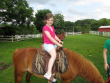 ellie_Pony.jpg