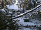 benshoff_driveway.jpg