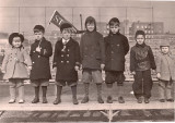 parrottBoys_stjohn.jpg