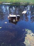cart_swamp.jpg