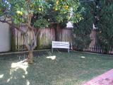 esther_backyard.jpg