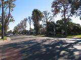 westwood_avenue.jpg