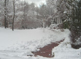 storm2_jan14jpg