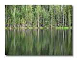 Fern Lake Reflection