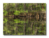 Weston Lake Reflection