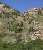 Island Creek? cascades into Lamoille Canyon