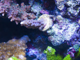 IMG_4217.jpg
