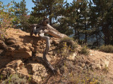 Rocky Mountain National Park