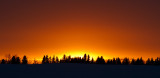 sunset 022511IMG_6139