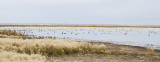 beaverhills lake 100211IMG_1283