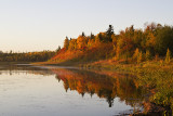 fall colors 092411IMG_1210