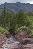 waterton scenery 062912IMG_2295