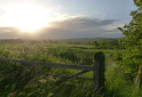 Landscapes