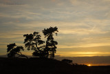 Kootwijkerzand, De Veluwe