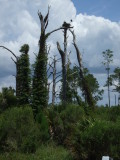 DSCF2365.JPG