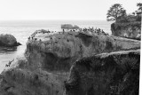 Bird Rock 2 - PSP from RAW.jpg