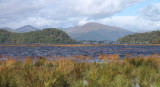 Inchcailloch and Balmaha Bay - Loch Lomond NNR