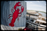 Lobster detail, Wiscasset 