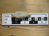 P1030606buggs6-11.jpg